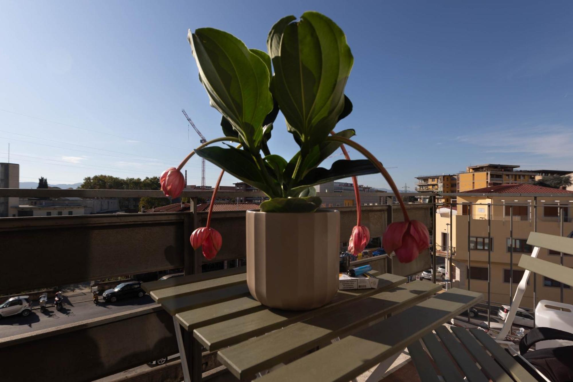 Florence Oasis Eksteriør billede